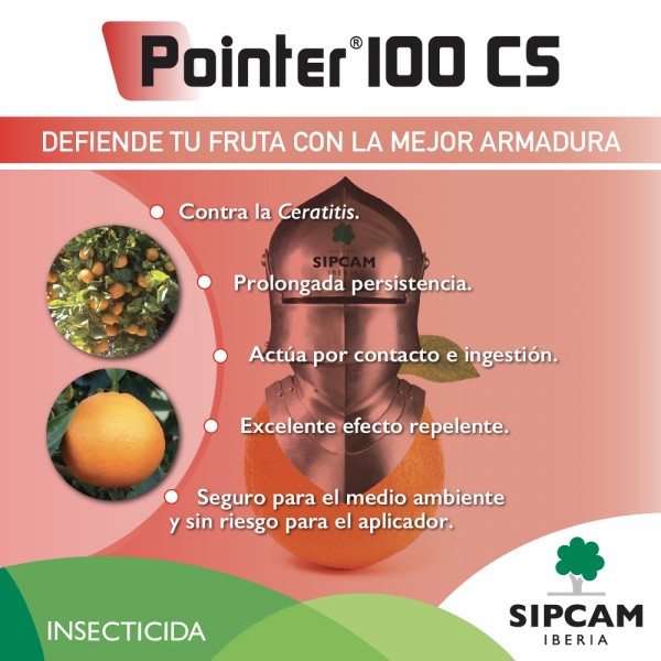 pointer-100-cs (2)